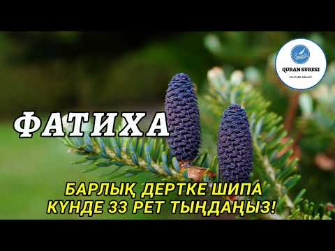Видео: Фатиха сүресі, Күнде 33 рет тыңдаңыз, Барлық дертке ШИПА!