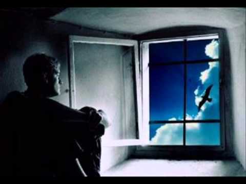 Видео: Мило мое ...