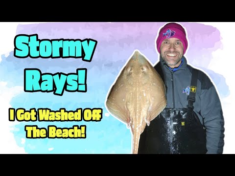 Видео: Боремся с волнами! Ловим скатов в штормовом море на пляже Саутборн 🌊