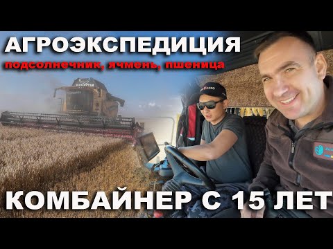 Видео: Бьем рекорды! Урожайность подсолнечника, урожайность пшеницы и ячменя в Казахстане в 2024