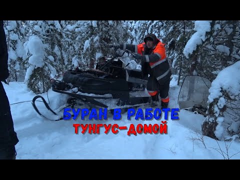 Видео: БОЛЬШОЙ КОМПАНИЕЙ В ЛЕС НА ПРОВЕРКУ ПУТИКОВ. УДАЧА!!! БУРАН В РАБОТЕ, А ТУНГУС ПОЕДЕТ ДОМОЙ!!!