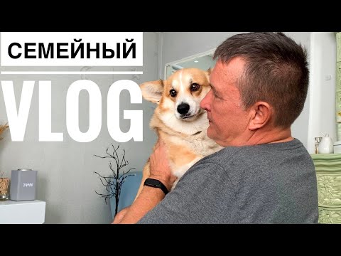 Видео: Празднуем помолвку💍 Наши Выходные с папой и песиками💕 VLOG