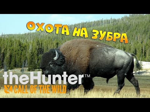 Видео: theHunter Call of the Wild #5 - Охота на зубра | охотник следопыт
