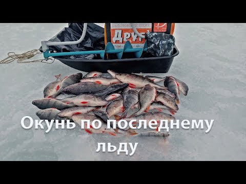 Видео: ОГРОМНЫЕ АРБУЗЫ НА БАЛАНСИР | ЛОВЛЯ ОКУНЯ НА БАЛАНСИР | РЫБАЛКА НА ВОЛГЕ .