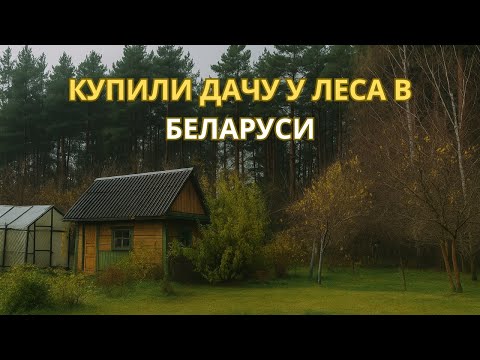 Видео: Купили дачу у леса в Беларуси!