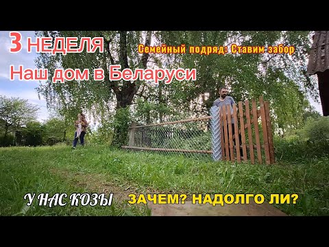 Видео: #3 ДОМ В БЕЛАРУСИ: ЗАЧЕМ И ОТКУДА У НАС КОЗЫ? СТАВИМ ЗАБОР