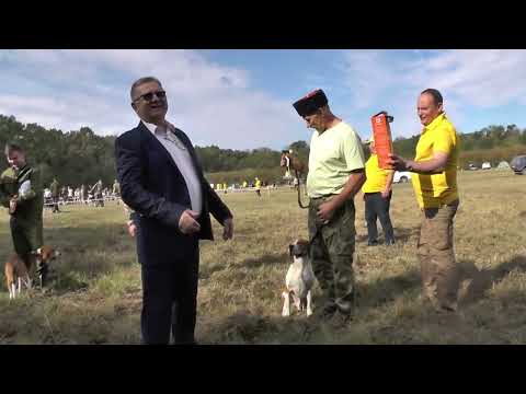 Видео: Кубанская Осень 2023 ЭГ