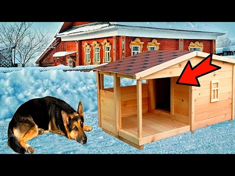 Видео: Пёс не заходил в будку и спал на снегу. Заглянув внутрь, хозяин был в ужасе!