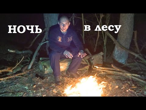 Видео: ОДИН НОЧЬЮ В ЛЕСУ /странные звуки /очень устал /больше нет сил/ ONE NIGHT IN THE FOREST