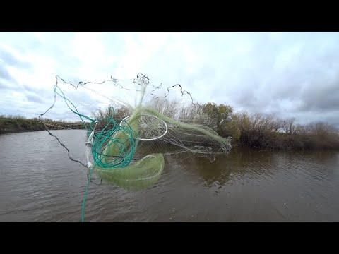 Видео: С накрывушкой по маленьким рекам,  полными рыбой.