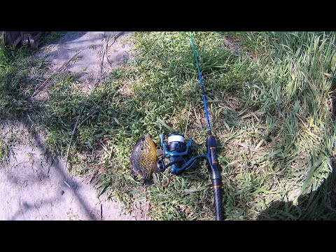 Видео: Мормышинг. Бюджетный тревел спиннинг КОЛИБРИ (Олта) 1.85м, 0.1-0.8г. Первые впечатления!