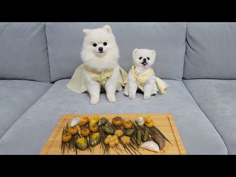 Видео: Как провести счастливо Чхусок с собаками