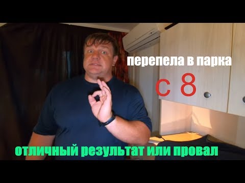 Видео: перепела в парка с 8 отличный результат или провал