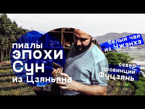 Видео: Белый чай. Пиалы, которым более 1000 лет. Провинция Фуцзянь