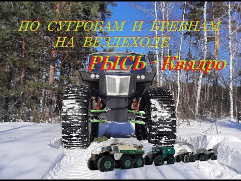 Видео: Зимние покатушки по бурелому на ВЕЗДЕХОДЕ РЫСЬ-Квадро! Едем там, где пешком не пройти!