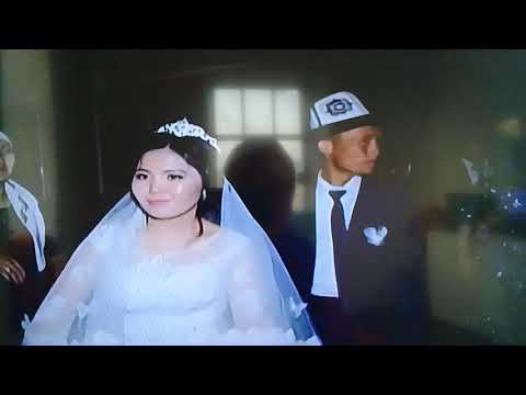 Видео: Той Тайгара