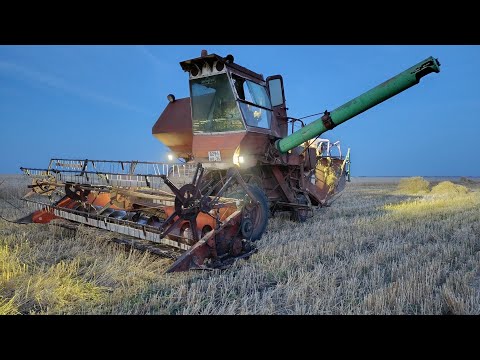 Видео: Сбор урожая 2025. Часть 1. #механизатор #сельскоехозяйство 
