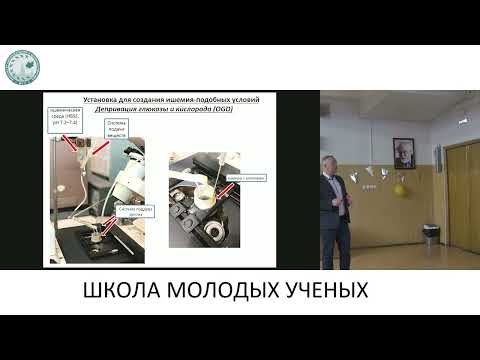 Видео: Молекулярные механизмы протекторного действия наночастиц при ишемии - Туровский Егор Александрович