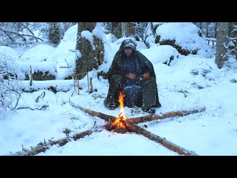 Видео: Зимний бушкрафт в пустыне - кемпинг в снегу