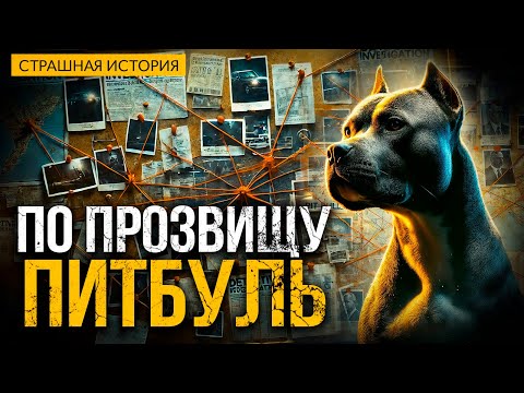 Видео: Опасное Расследование I По прозвищу Питбуль I Мрачный Триллер