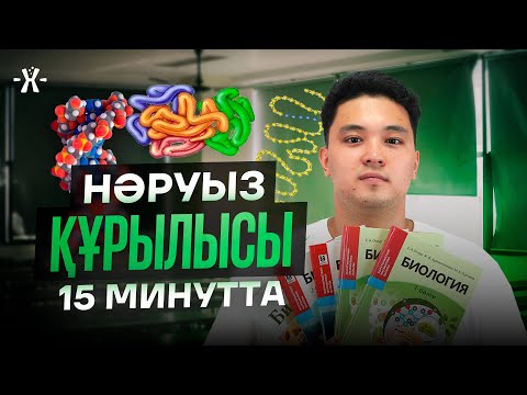 Видео: НӘРУЫЗ ҚҰРЛЫСЫ 15 МИНУТТА | ҰБТ БИОЛОГИЯ 2026