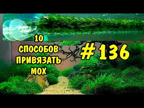 Видео: #136 10 СПОСОБОВ ПРИВЯЗАТЬ МОХ. 10 WAYS TO TIE THE MOSS