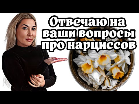 Видео: Отвечаю на вопросы подписчиков о нарциссах: что, как и почему?