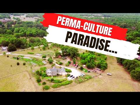 Видео: Мелкомасштабное регенеративное земледелие в Голубом хребте