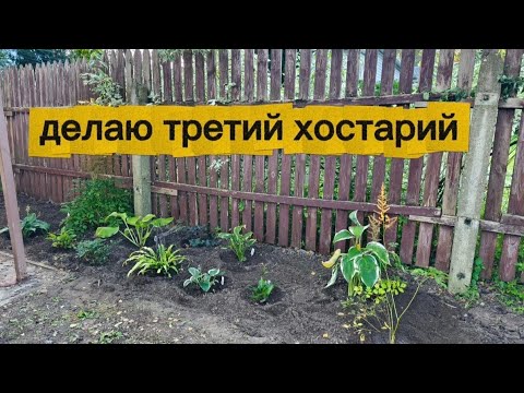 Видео: Начала создавать новый цветник хостарий! 
