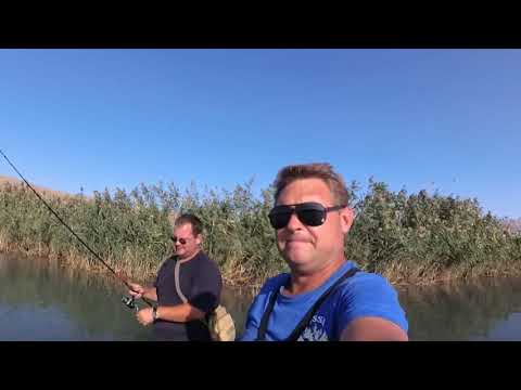 Видео: Рыбалка с эхолотом - LOWRANCE Hook 9 TripleShot. Новинка!