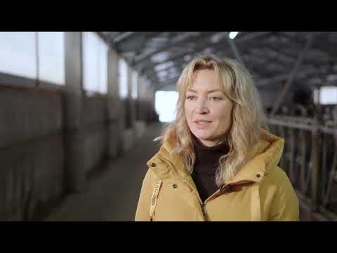 Видео: ООО Племзавод Родина. Опыт использования датчиков SenseHub