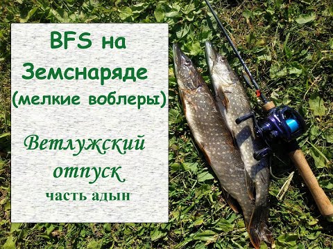 Видео: BFS на Земснаряде (мелкие воблеры) - Ветлужский отпуск. Часть адын