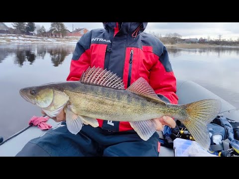Видео: Судак, лещ на реке Волхов. Март 2025 год.