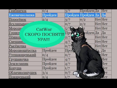 Видео: Скоро посвят! / CatWar (Ч.О.)