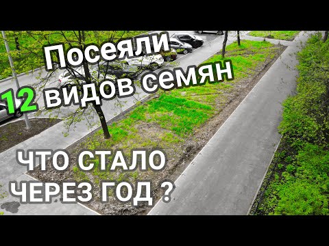 Видео: Из 12 травосмесей газона выжило только 4! Выбор семян, результат спустя год