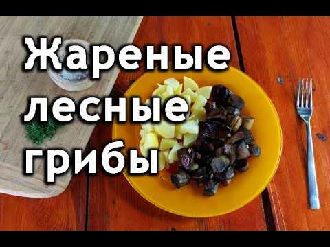 Видео: Как приготовить жареные грибы: подосиновики, подберезовики, боровики, лисички рецепт