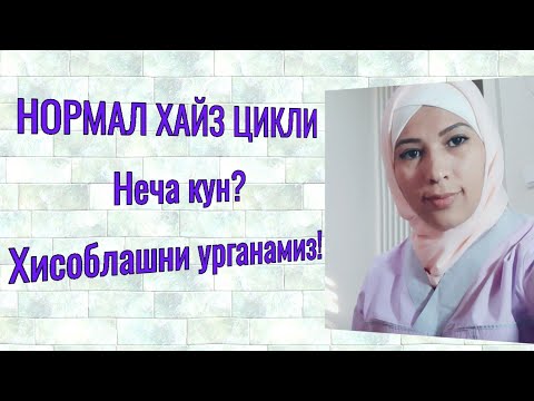 Видео: Нормал хайз цикли