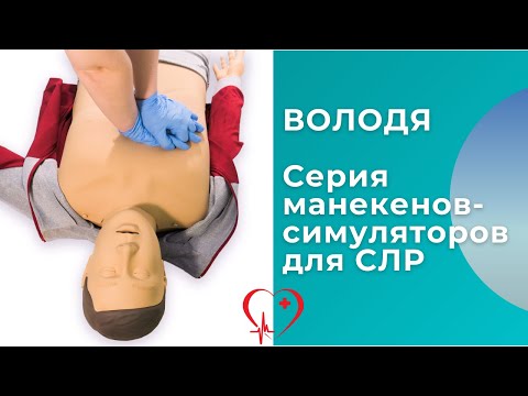 Видео: Обзор серии манекенов-симуляторов для отработки навыков сердечно-лёгочной реанимации ВОЛОДЯ