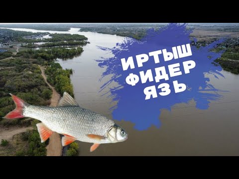 Видео: Рыбалка Иртыш. ФИДЕР Омск Николаевка. Май 2022