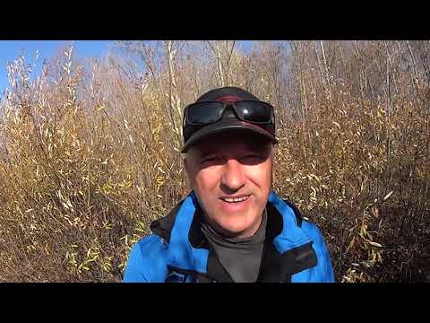 Видео: Мормышинг на реке.  Осенний отчет о рыбалке