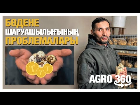 Видео: Бөдене кәсібі | Тиімді тұстары мен проблемалары
