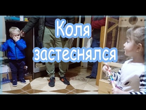 Видео: VLOG Как Коля и Алиса встретились