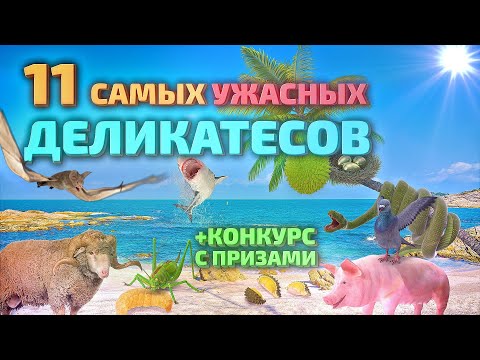 Видео: 11 самых ужасных деликатесов мира: мерзкая и отвратительная, но вкусная еда