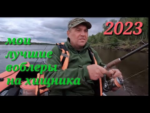 Видео: Мои лучшие воблеры на хищника 2023 г. #рыбалка #воблеры#воблеры на щуку#топ воблеров