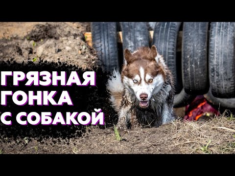 Видео: ПЕРВАЯ ГОНКА СЕЗОНА И СРАЗУ В ГРЯЗЬ С СОБАКОЙ | ОЧЕНЬ ИНТЕРЕСНЫЕ РЕЗУЛЬТАТЫ