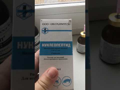 Видео: Плохо растёт теленок