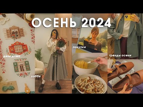 Видео: ТРЕНДЫ ОСЕНИ 2024 | шоппинг | покупки wildberries, ozon, maag