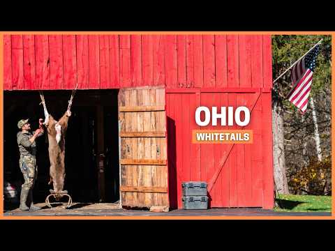 Видео: Узнаем, почему охота на белохвостого оленя в Огайо так затягивает.