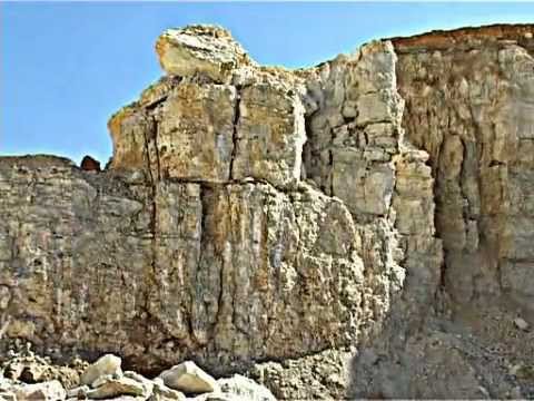 Видео: море Волгоград