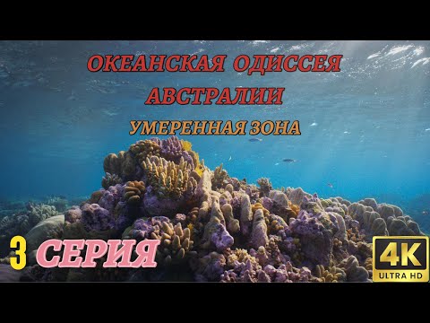 Видео: Мир Дикой Природы. Австралия и Океания. Документальный Фильм 4K. 3 серия из 3